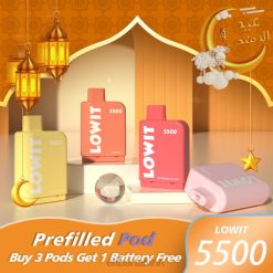 ELFBAR LOWIT 5500 eeltäidetud kaun mustikajää VBVT374 - Elf Bar Vape Price